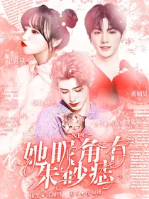 NPC：她眼角有朱砂痣