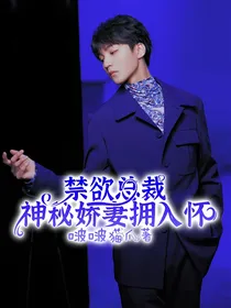 禁欲总裁：神秘娇妻拥入怀