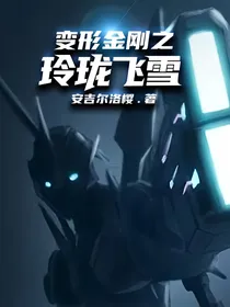 变形金刚之玲珑飞雪