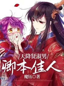 天降贤淑男：卿本佳人