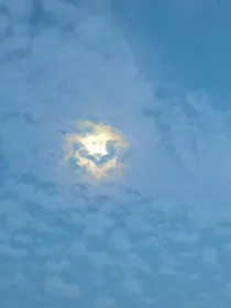 快穿快穿呀