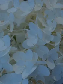 快穿之病娇你不要过来啊