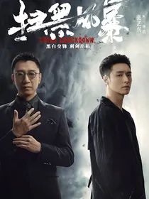 扫黑风暴：大江南北小林