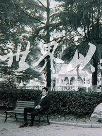 世界已痛吻你