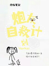 沙海：炮灰自救计划