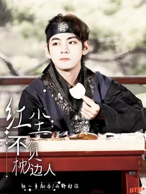 BTS：红尘不负枕边人