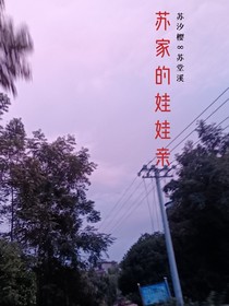 苏家的娃娃亲