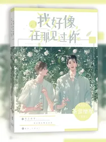 我好像，在哪见过你