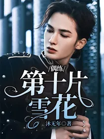 偶练：第十片雪花