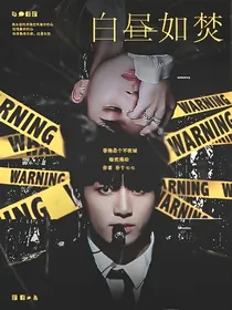 BTS：白昼如焚
