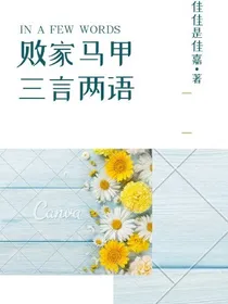 败家马甲之三言两语
