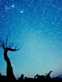 星辰大海和你