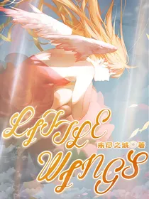 LITTLE—WINGS