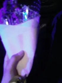 Mr……Right我不爱你了