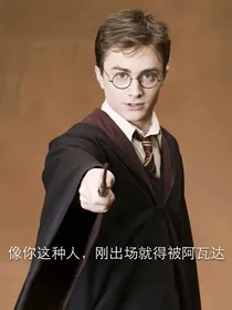哈利波特和Sans与魔法石