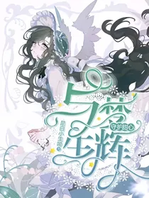 守护甜心：与梦生辉