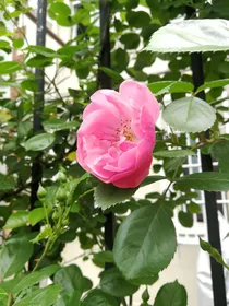 玖染动态大全