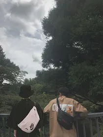 借机