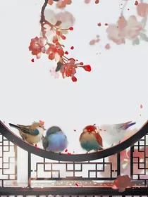 图片集