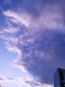 又逢春