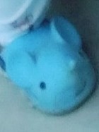 学生时代日记