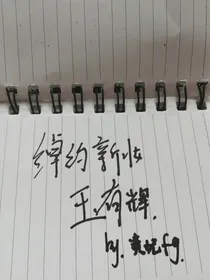 绰约新妆玉有辉