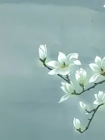 综影视开局火葬场