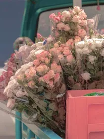 每天一个甜甜的小故事……
