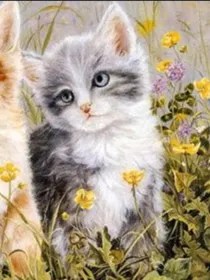 甜甜私房猫校园之恋
