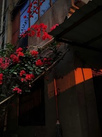 TNT花圃坊
