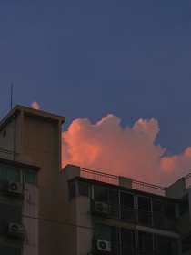 彼此的青春