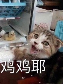 奇葩的梦境故事