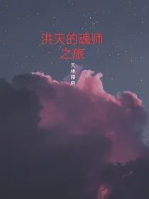 洪天的魂师之旅