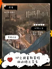 HP之披着斯莱特林的格兰芬多