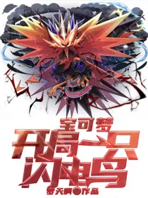 宝可梦：开局一只闪电鸟