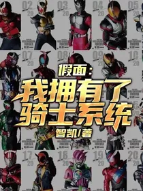 假面：我拥有了骑士系统