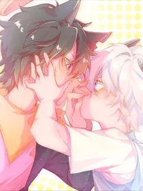 all灰