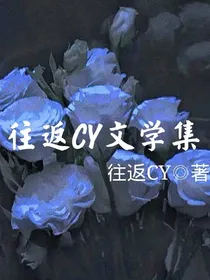 往返CY文学集