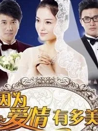 因为爱情有多美之乡村爱情改编版