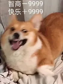 社恐的恋爱