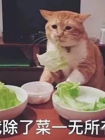 综合墙头乙女短篇合集