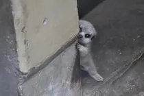 时间注水