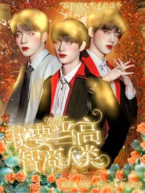 TNT：我要当高智商人类