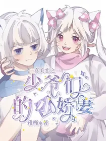 喜美之少爷的小娇妻