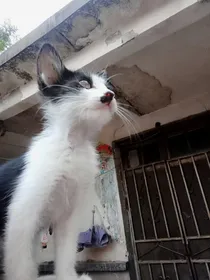 闹鬼事件，
