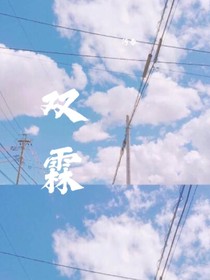 双霖