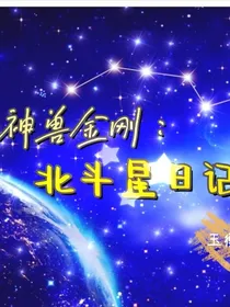神兽金刚：北斗星日记