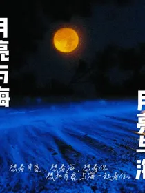 月亮与海