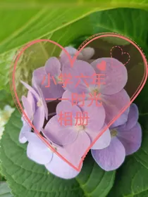 小学的六年——时光相册
