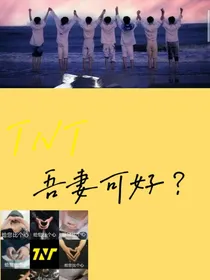TNT：吾妻可好？